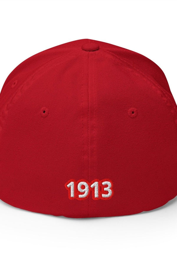 Delta Sigma Theta Baseball Cap - KIOKO