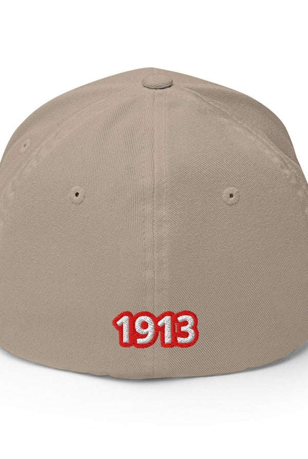 Delta Sigma Theta Baseball Cap - KIOKO