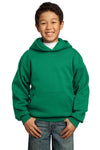Port & Company ® - Youth Core Fleece Pullover Hooded Sweatshirt. PC90YH - KIOKO