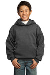 Port & Company ® - Youth Core Fleece Pullover Hooded Sweatshirt. PC90YH - KIOKO