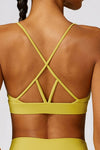 T Marie Sports Bra