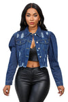 Isis Hobo Cropped Denim Jacket