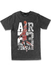 Air 23 Mineral Wash Graphic Tee