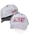 Delta Sigma Theta Flex Sports Cap - KIOKO