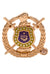 Omega Psi Phi Crest Pin - KIOKO