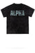 Alpha Mineral Wash Gym Tee - KIOKO