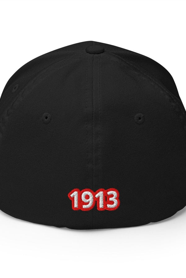 Delta Sigma Theta Baseball Cap - KIOKO