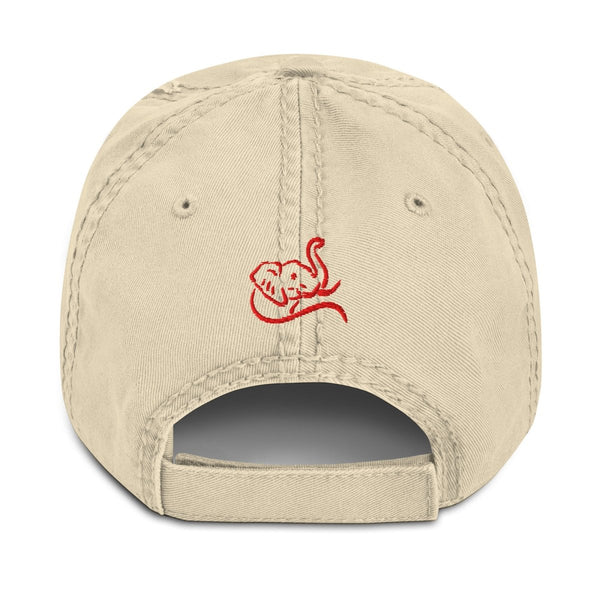 Delta Sigma Theta DIVA Distressed Dad Hat - KIOKO