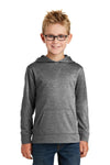 Port & Company ® - Youth Core Fleece Pullover Hooded Sweatshirt. PC90YH - KIOKO